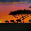 Sunset Africa