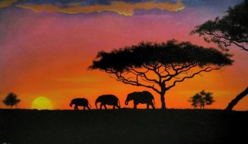 Sunset Africa