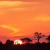 Sunset Africa