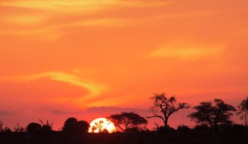 Sunset Africa