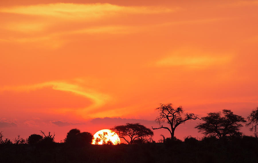 Sunset Africa