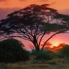 Sunset Africa