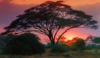 Sunset Africa