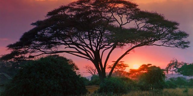 Sunset Africa