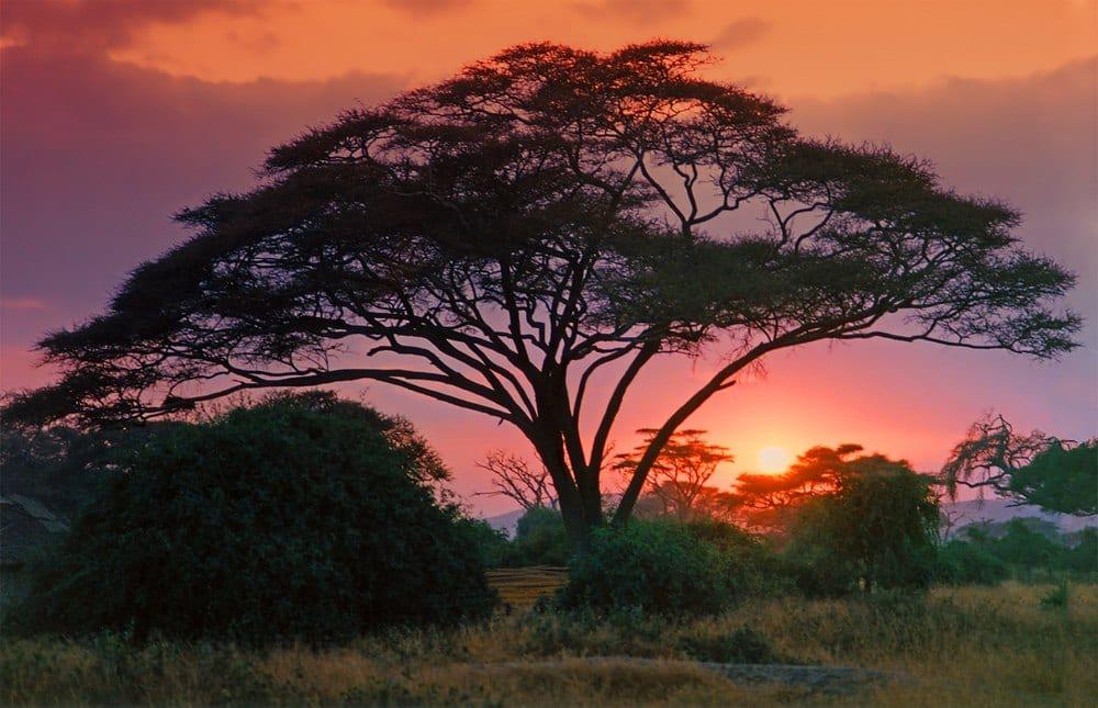 Sunset Africa