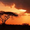 Sunset Africa