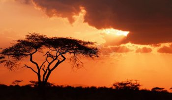 Sunset Africa