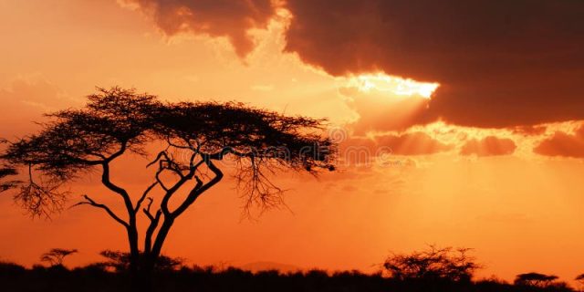 Sunset Africa