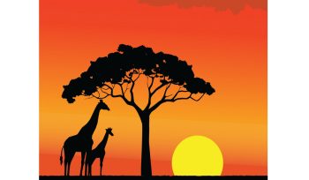 Sunset Africa