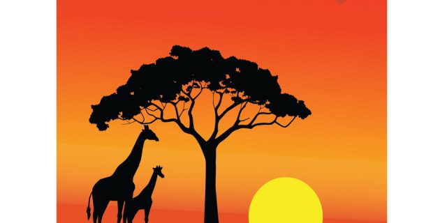 Sunset Africa