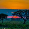 Sunset Africa