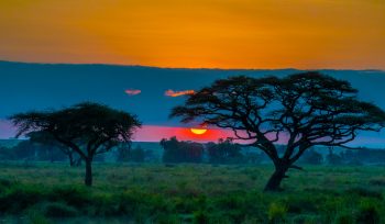 Sunset Africa