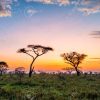 Sunset Africa