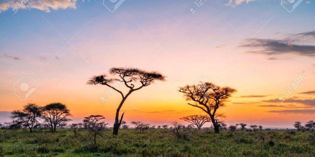 Sunset Africa