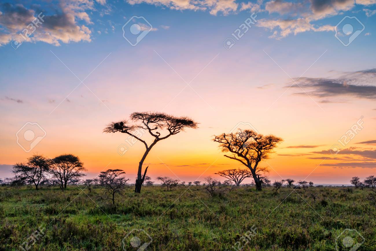 Sunset Africa