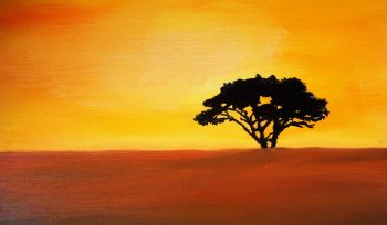 Sunset Africa