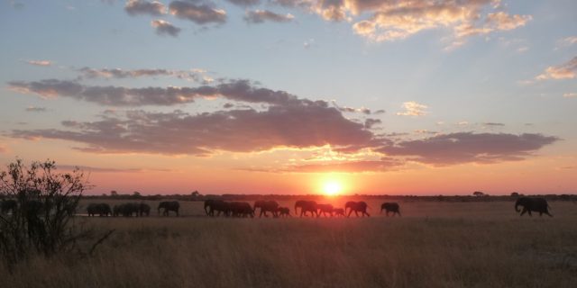 Sunset Africa