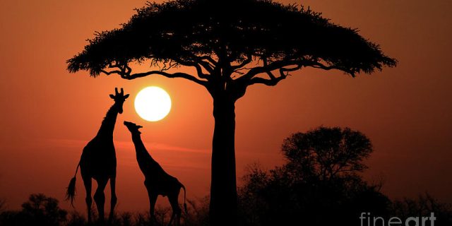 Sunset Africa