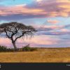 Sunset Africa