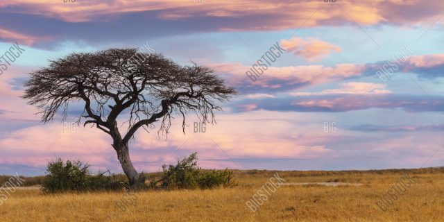 Sunset Africa