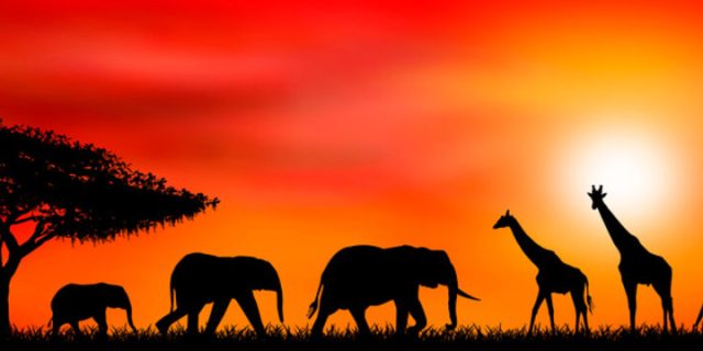 Sunset Africa