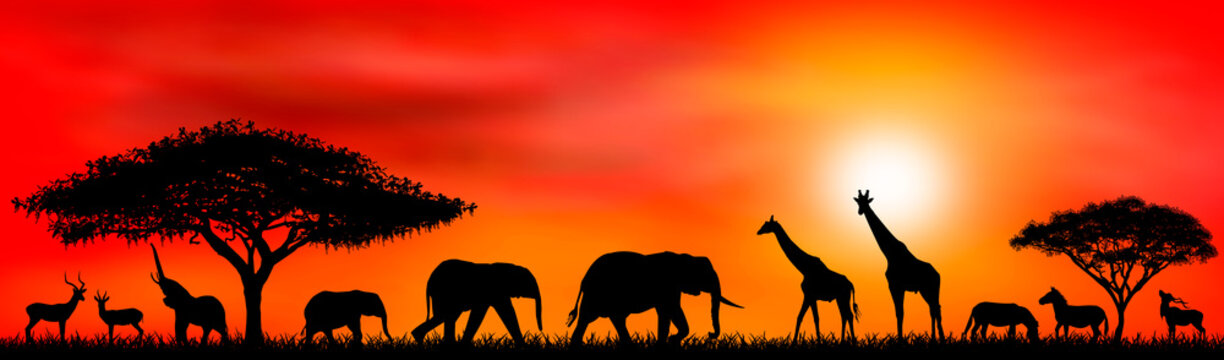 Sunset Africa