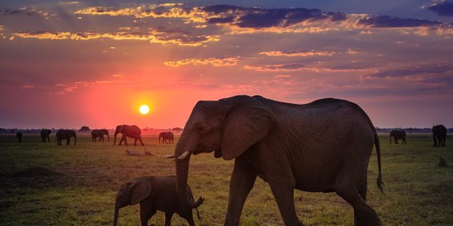 Sunset Africa