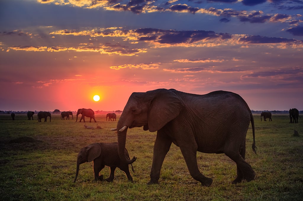 Sunset Africa