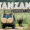 Tanzania safari