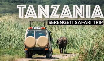 Tanzania safari