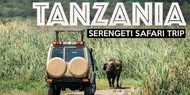 Tanzania safari