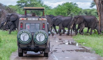 Tarangire National