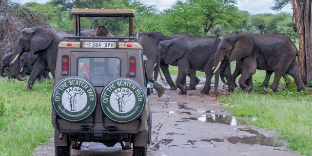 Tarangire National