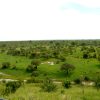 Tarangire National