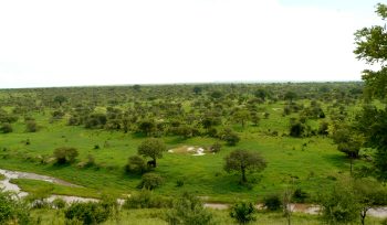 Tarangire National