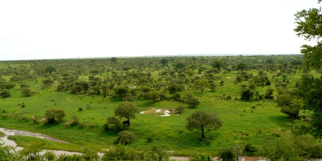 Tarangire National