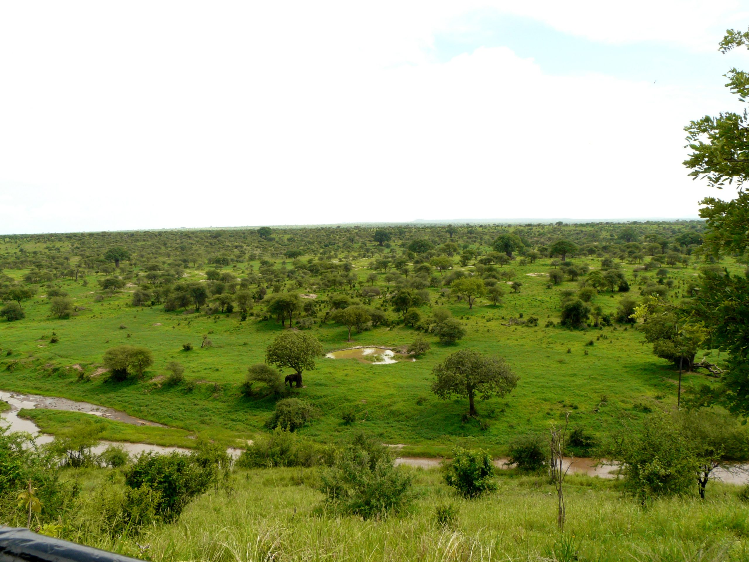 Tarangire National