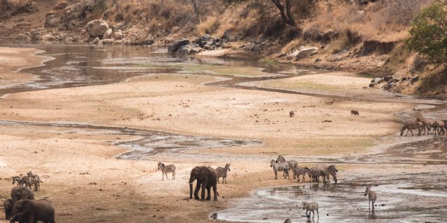 Tarangire National