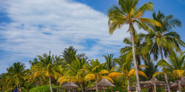 Zanzibar Beach