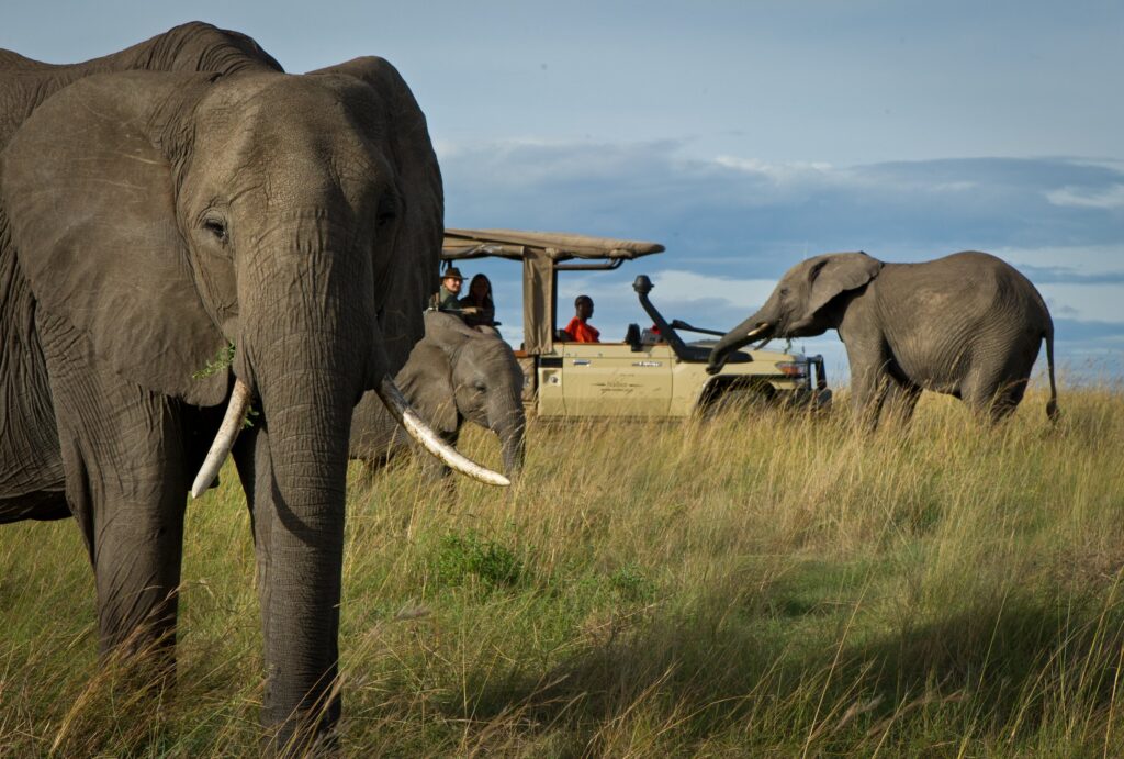 10-days-tanzania-big-cat-safari