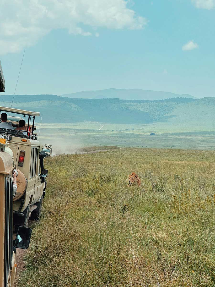 Tanzania-Safari-With-Sunset-Africa-SAfari