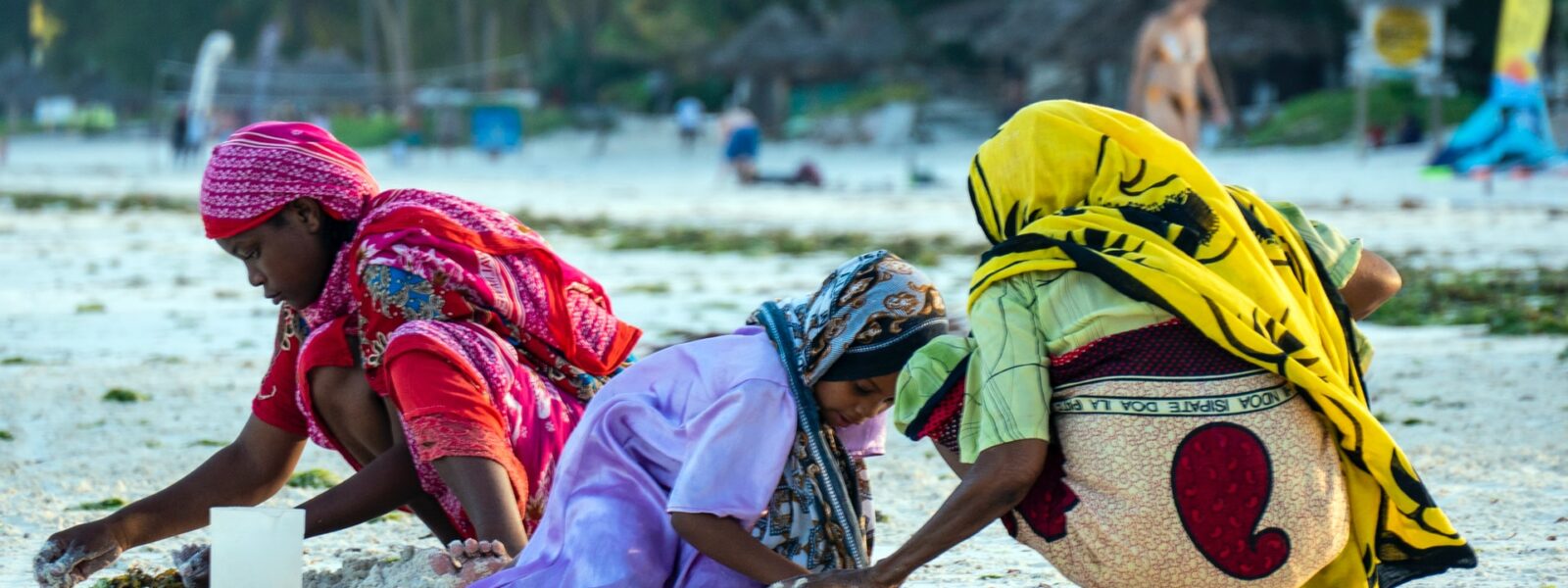 Zanzibar Full Day Local Village Tour & Nature Trails