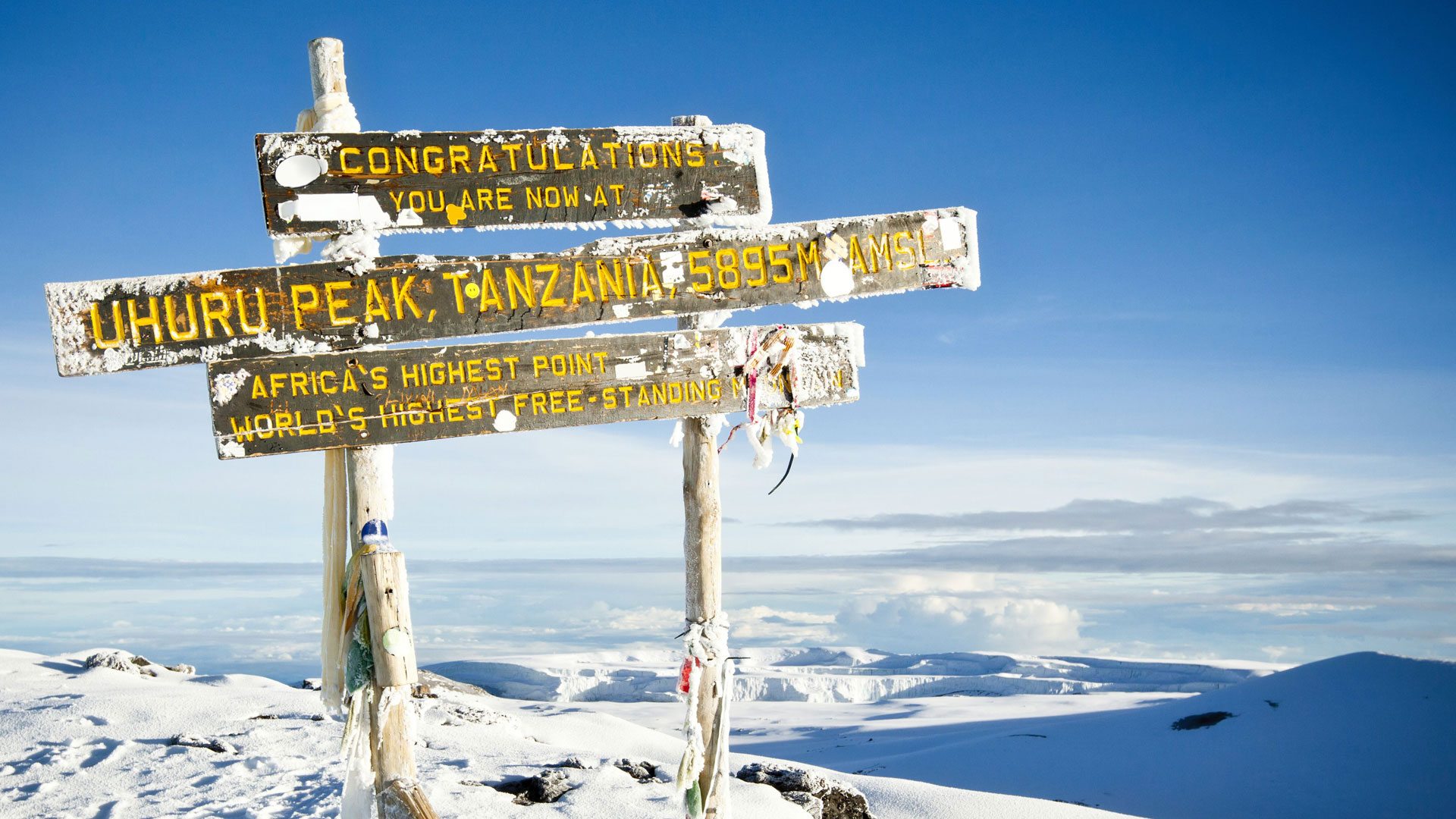 8 Days Mount Kilimanjaro climbing on Northern Circuit Route
