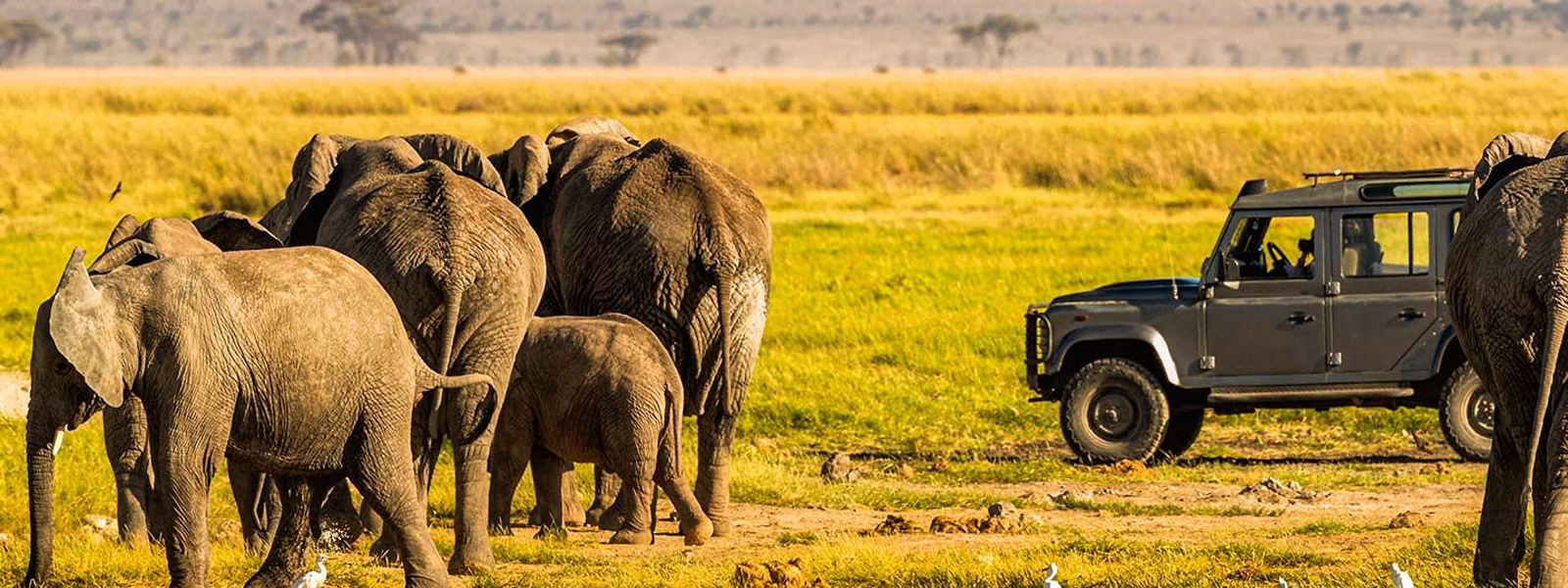 11 Days Kenya High-End Comprehensive Safari