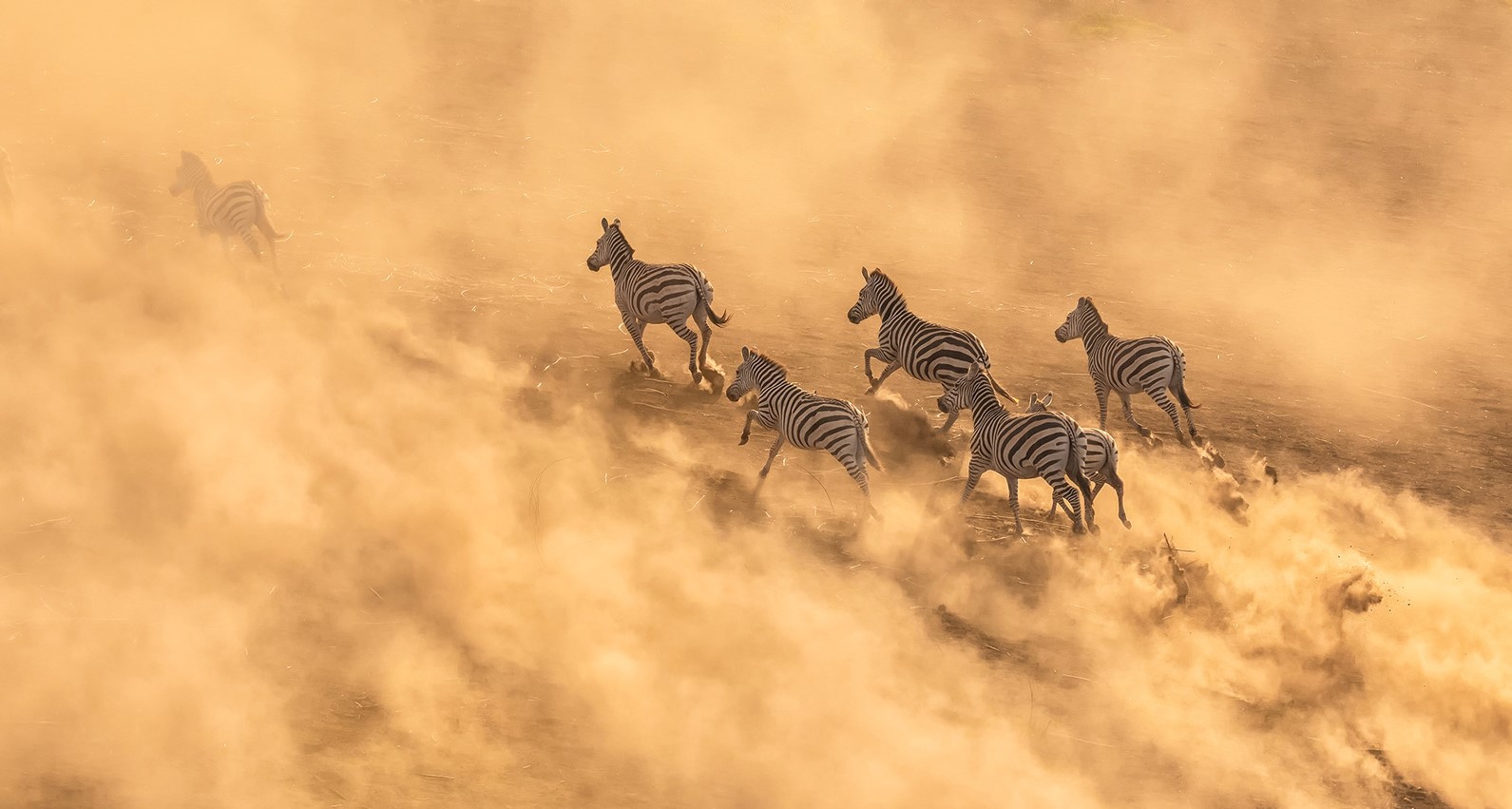 5 Days Masai Mara Migration Safari