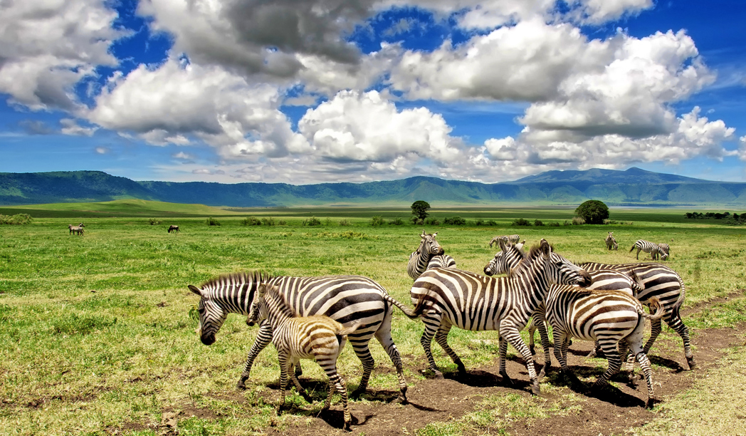 Ngorongoro Conservation Area