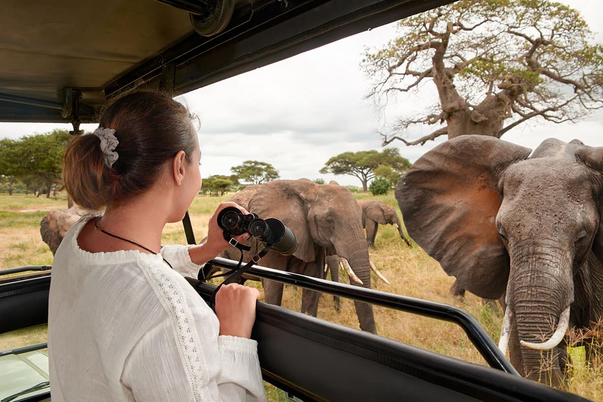 Best Time To Visit Tanzania