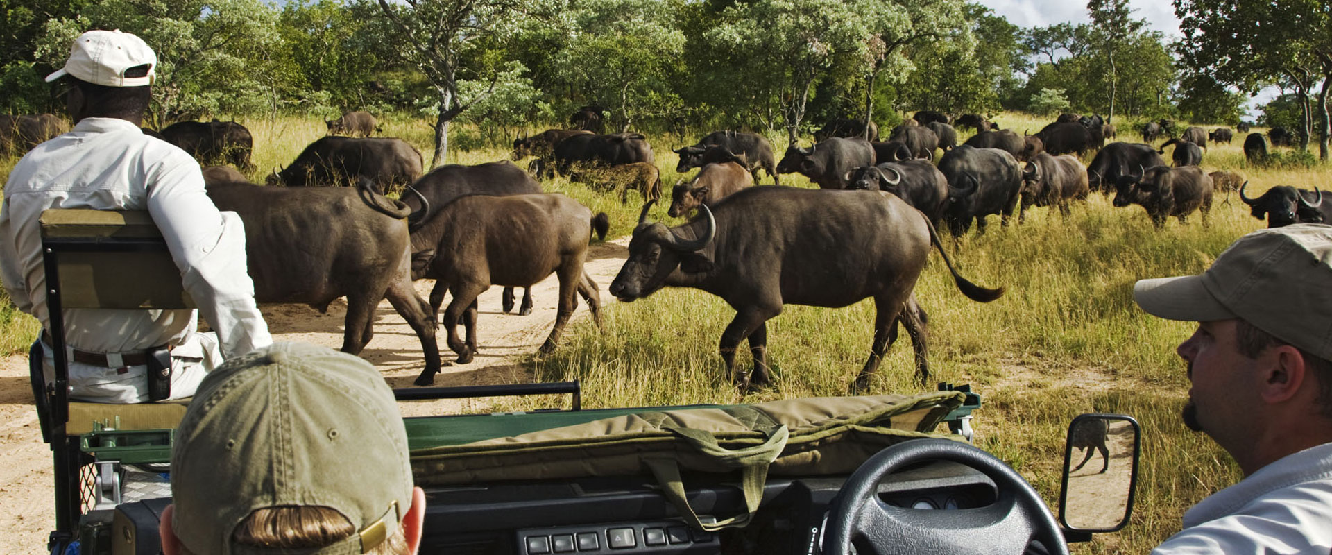 Tanzania Travel Safety