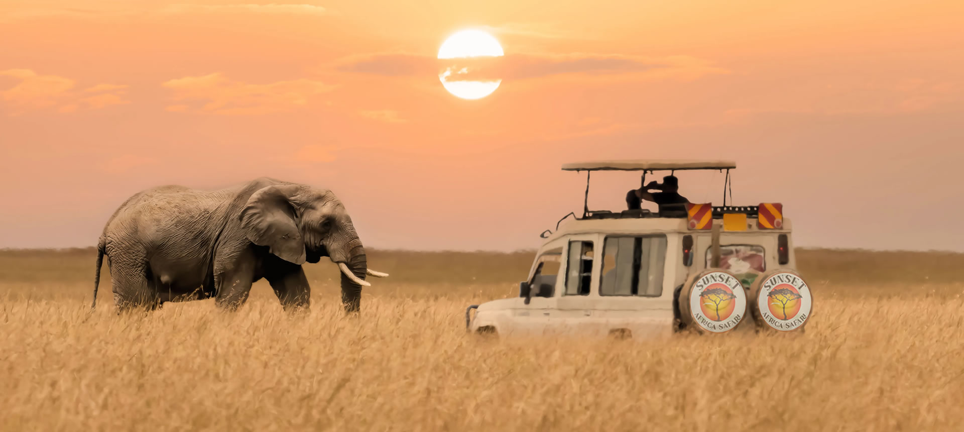 Sunset Africa Safari ensures every moment of the journey, from luxury lodges to intimate campsites, is enriched with insight and wonder. Their unwavering dedication to customer satisfaction has earned them widespread acclaim and recognition, as they continue to inspire new generations of travelers to explore Africa’s awe-inspiring landscapes and vibrant cultures